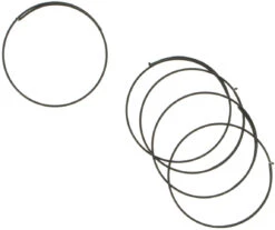 Campagnolo® Resortes De Trinquetes Para Buje Record / Ruedas Desde 1999