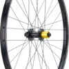 Tune Rueda Race 29 Endurance Boost Disc 6 Agujeros 29" -Pro Bike Tienda 461143