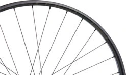 Tune Rueda Race 29 Endurance Boost Disc 6 Agujeros 29" -Pro Bike Tienda 461145